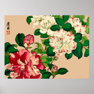  Japanse Camellias. Diep roze op beige Poster