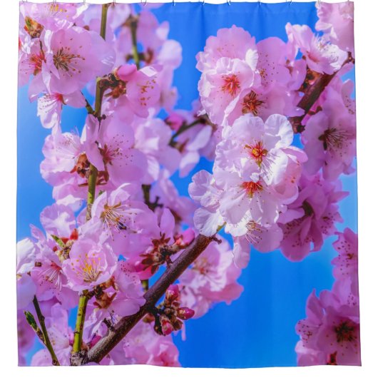 Japanse Cherry Blossom 13 Douchegordijn (Voorkant)