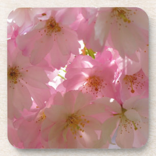 Japanse Cherry Blossom Bier Onderzetter