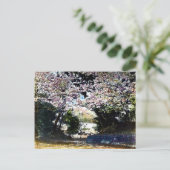 Japanse  Cherry Blossom Briefkaart (Staand voorkant)