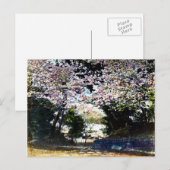 Japanse  Cherry Blossom Briefkaart (Voorkant / Achterkant)