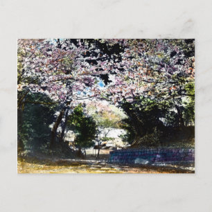 Japanse  Cherry Blossom Briefkaart
