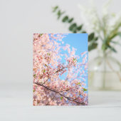 Japanse Cherry Blossom Briefkaart (Staand voorkant)