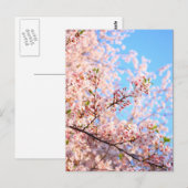 Japanse Cherry Blossom Briefkaart (Voorkant / Achterkant)