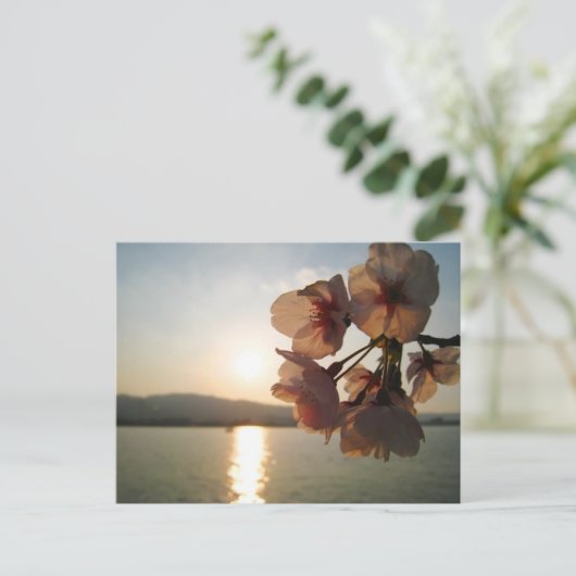 Japanse Cherry Blossom Briefkaart (Staand voorkant)