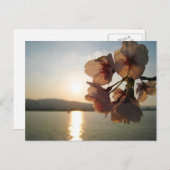 Japanse Cherry Blossom Briefkaart (Voorkant / Achterkant)