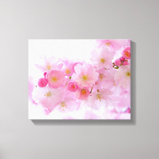 Japanse Cherry Blossom Canvas Afdruk