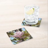 Japanse Cherry Blossom Foto Kartonnen Onderzetters (Insitu)