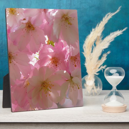 Japanse Cherry Blossom Fotoplaat (Zijkant)