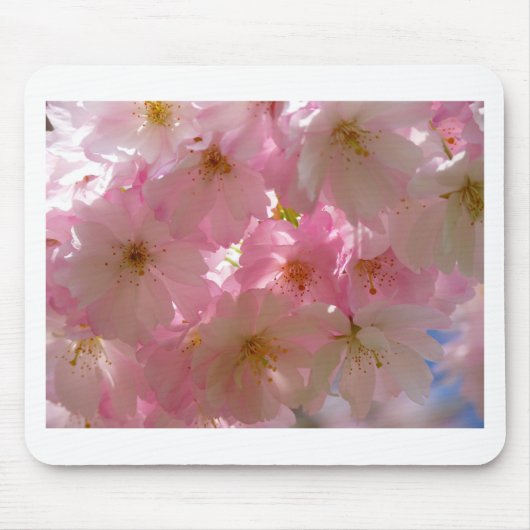 Japanse Cherry Blossom Muismat (Voorkant)