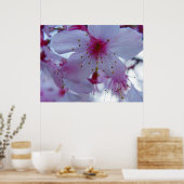 Japanse Cherry Blossom Poster (Keuken)