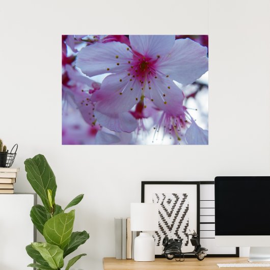 Japanse Cherry Blossom Poster (Thuiskantoor)