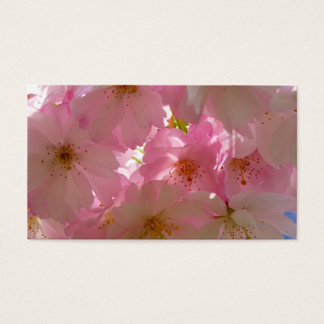 Japanse Cherry Blossom Visitekaartjes (Voorkant)