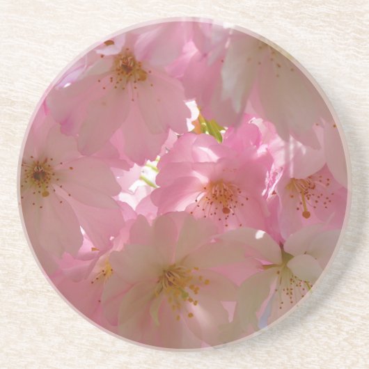 Japanse Cherry Blossom Zandsteen Onderzetter (Voorkant)