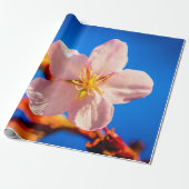Japanse Cherry Sakura Flower Cadeaupapier (Uitgerold)