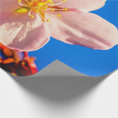 Japanse Cherry Sakura Flower Cadeaupapier (Hoek)