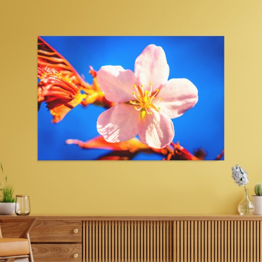 Japanse Cherry Sakura Flower Canvas Afdruk (Insitu (Woonkamer))