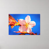 Japanse Cherry Sakura Flower Canvas Afdruk (Voorkant)