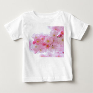 Japanse Cherry Tree Blossom
