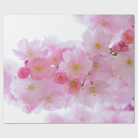 Japanse Cherry Tree Blossom Cadeaupapier (Vlak)