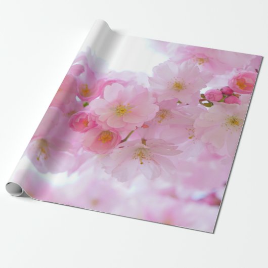 Japanse Cherry Tree Blossom Cadeaupapier (Uitgerold)
