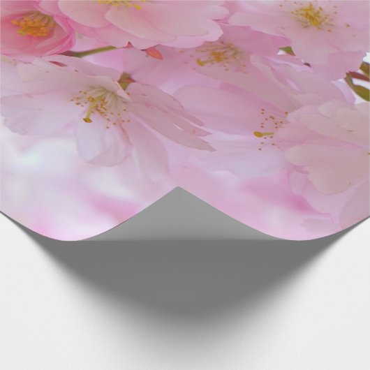 Japanse Cherry Tree Blossom Cadeaupapier (Hoek)