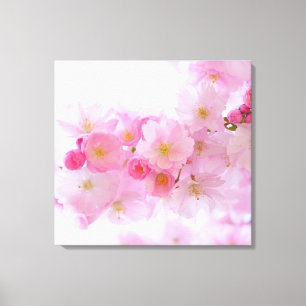 Japanse Cherry Tree Blossom Canvas Afdruk