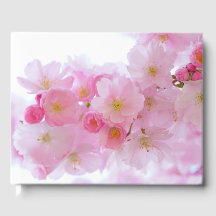 Japanse Cherry Tree Blossom