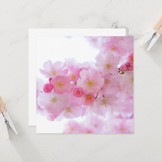 Japanse Cherry Tree Blossom Kaart (Voorkant / Achterkant in situ)