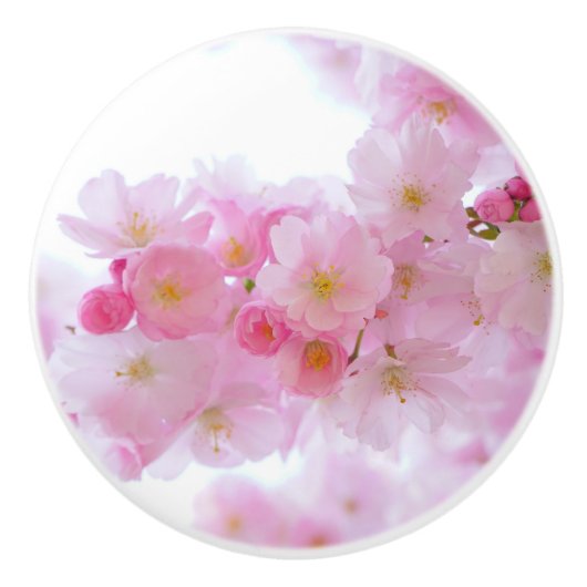 Japanse Cherry Tree Blossom Keramische Knop (Voorkant)