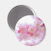 Japanse Cherry Tree Blossom Magneet (Voorkant / Achterkant)