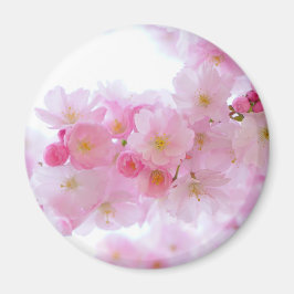 Japanse Cherry Tree Blossom Magneet