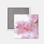 Japanse Cherry Tree Blossom Magneet (Voorkant / Achterkant)