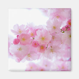 Japanse Cherry Tree Blossom Magneet