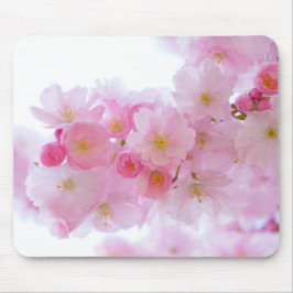 Japanse Cherry Tree Blossom Muismat
