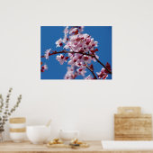 Japanse Cherry Tree Blossom Poster (Keuken)