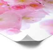 Japanse Cherry Tree Blossom Poster (Hoek)