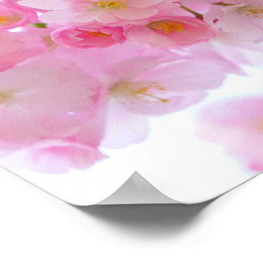 Japanse Cherry Tree Blossom Poster (Hoek)