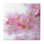 Japanse Cherry Tree Blossom Tegeltje (Voorkant)