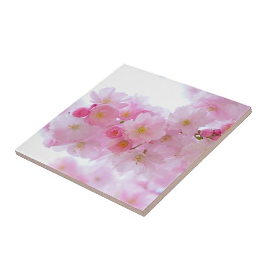 Japanse Cherry Tree Blossom Tegeltje (Zijkant)