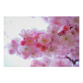 Japanse Cherry Tree Flower Perfect Poster (Voorkant)