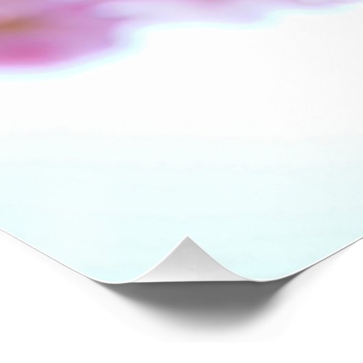 Japanse Cherry Tree Flower Perfect Poster (Hoek)