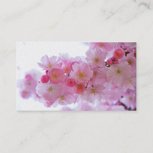 Japanse Cherry Tree Flower Visitekaartje (Achterkant)