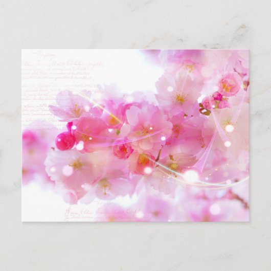 Japanse Cherry Tree met Pastel Pink Blossom Briefkaart (Voorkant)