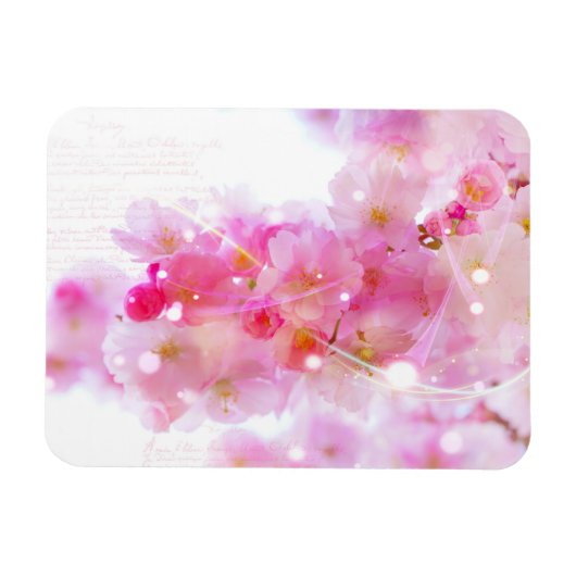 Japanse Cherry Tree met Pastel Pink Blossom Magneet (Horizontaal)