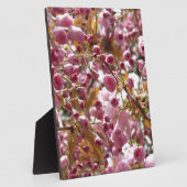 Japanse Cherry Trees Fotoplaat (Zijkant)