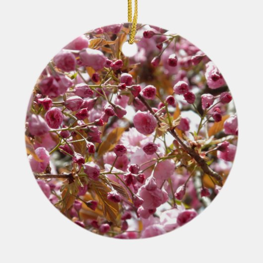 Japanse Cherry Trees Keramisch Ornament (Voorkant)