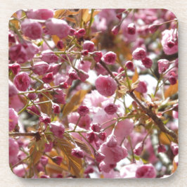 Japanse Cherry Trees Onderzetter