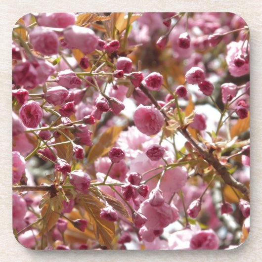 Japanse Cherry Trees Onderzetter (Voorkant)