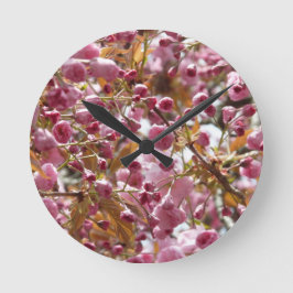 Japanse Cherry Trees Ronde Klok